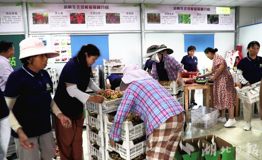大发官方登录网址